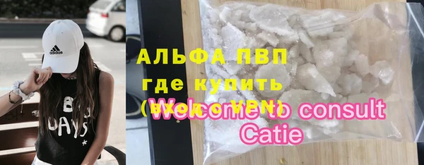индика Сосновый Бор