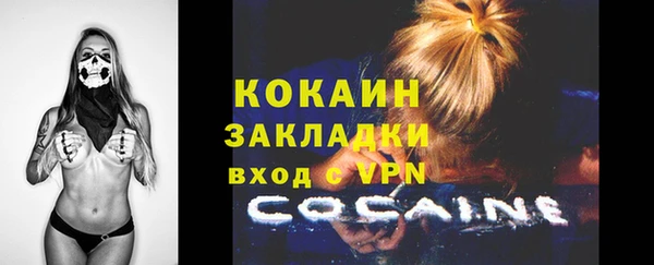 PSILOCYBIN Липки