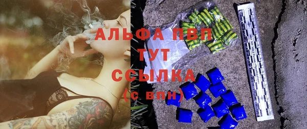 PSILOCYBIN Липки
