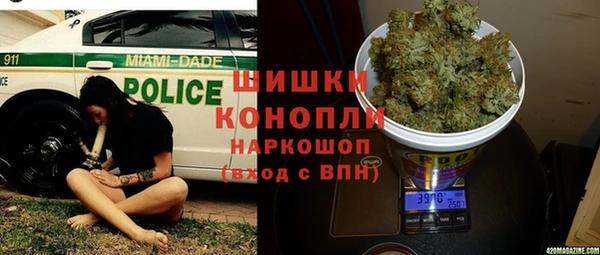 PSILOCYBIN Липки