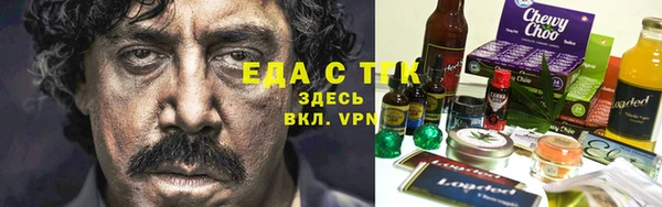 индика Сосновый Бор